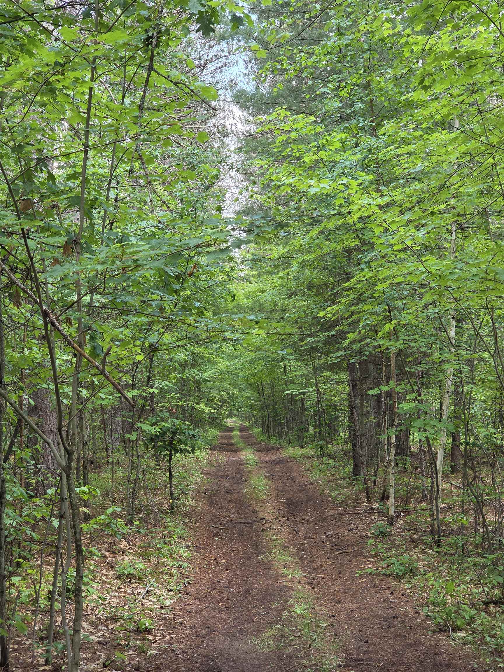 Tower Road Athelstane, WI 54104 - Photo 5 of 25