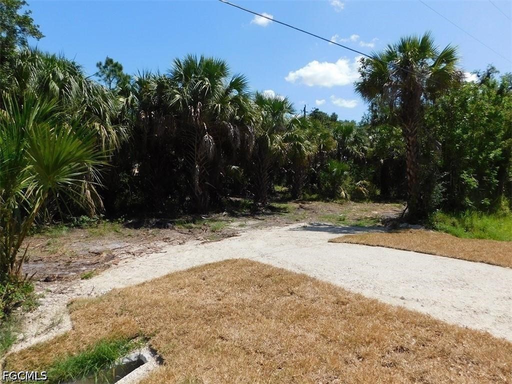 14971 Duke Highway Alva, FL 33920 - Photo 3 of 9 a street view along with trees