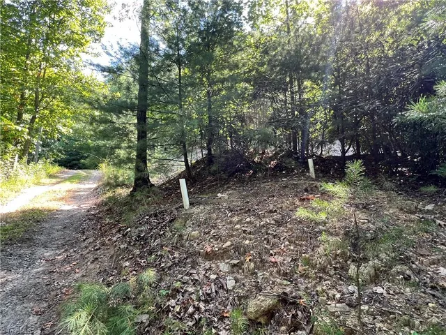 $47,500 | Lot 5 B Valley View Drive, Purlear, NC 28665