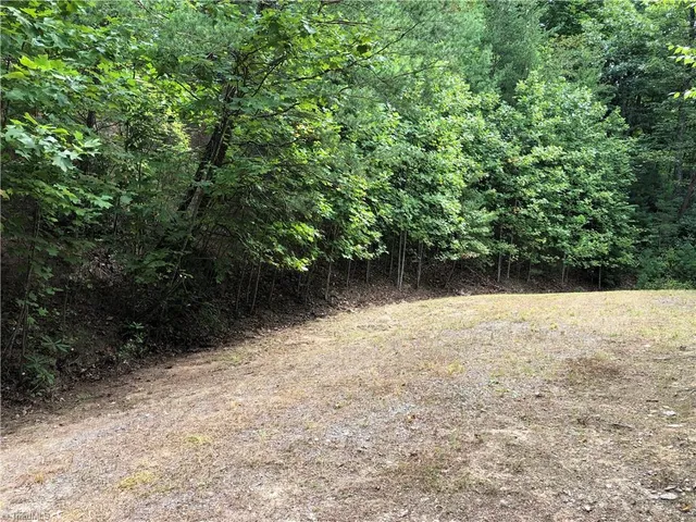 $47,500 | Lot 5 B Valley View Drive, Purlear, NC 28665