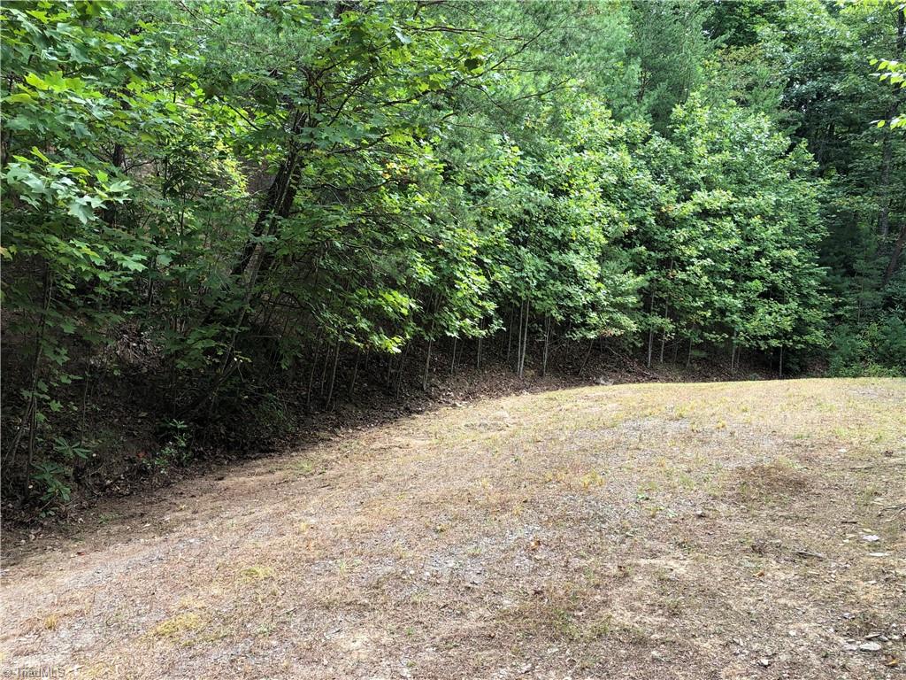 Lot 5 B Valley View Drive Purlear, NC 28665 - Photo 5 of 31 Flat Building Site