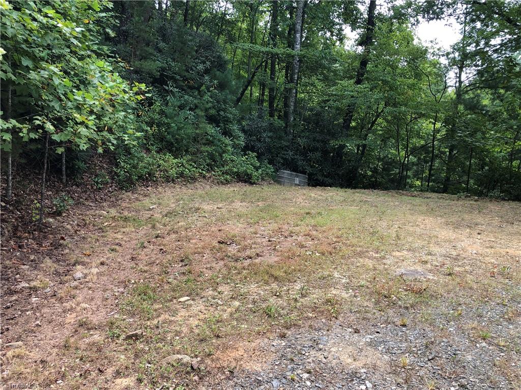 Lot 5 B Valley View Drive Purlear, NC 28665 - Photo 8 of 31 Flat Building Site
