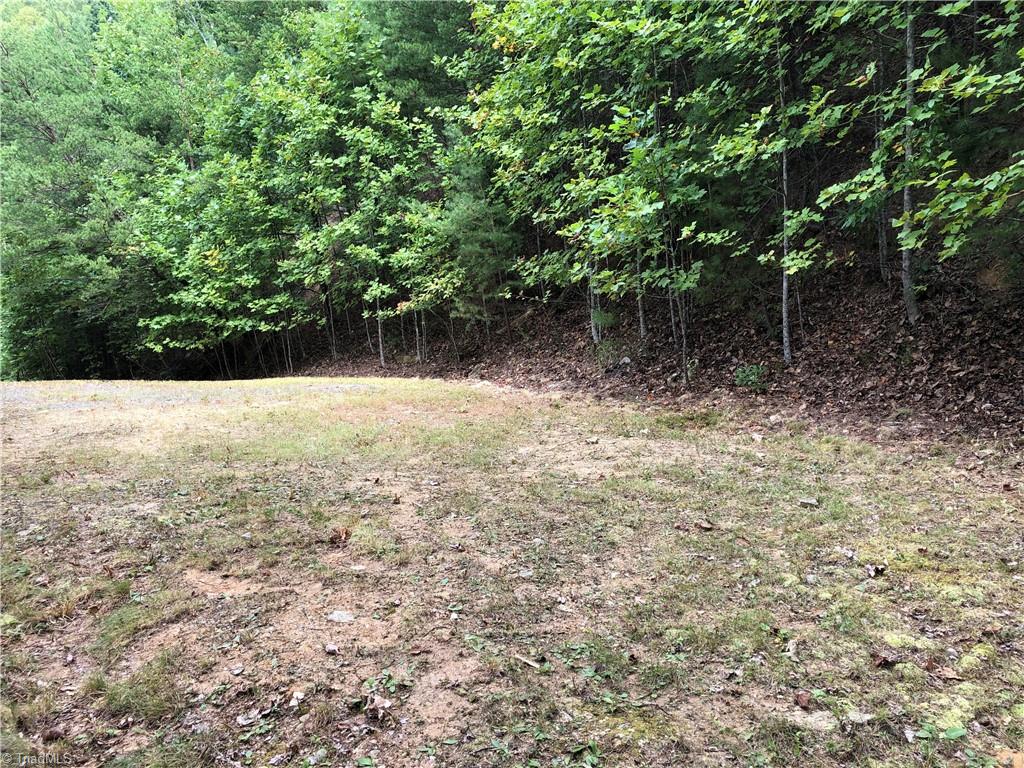 Lot 5 B Valley View Drive Purlear, NC 28665 - Photo 10 of 31 Flat Building Site