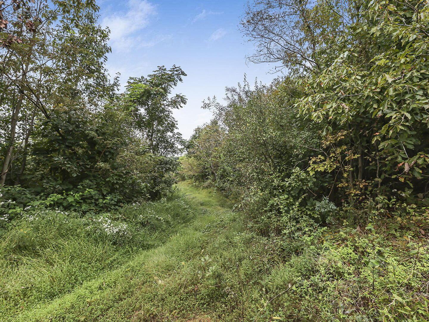 0 Cr E Road Pomeroy, OH 45769 - Photo 31 of 82 39-web-or-mls-0V3A7082