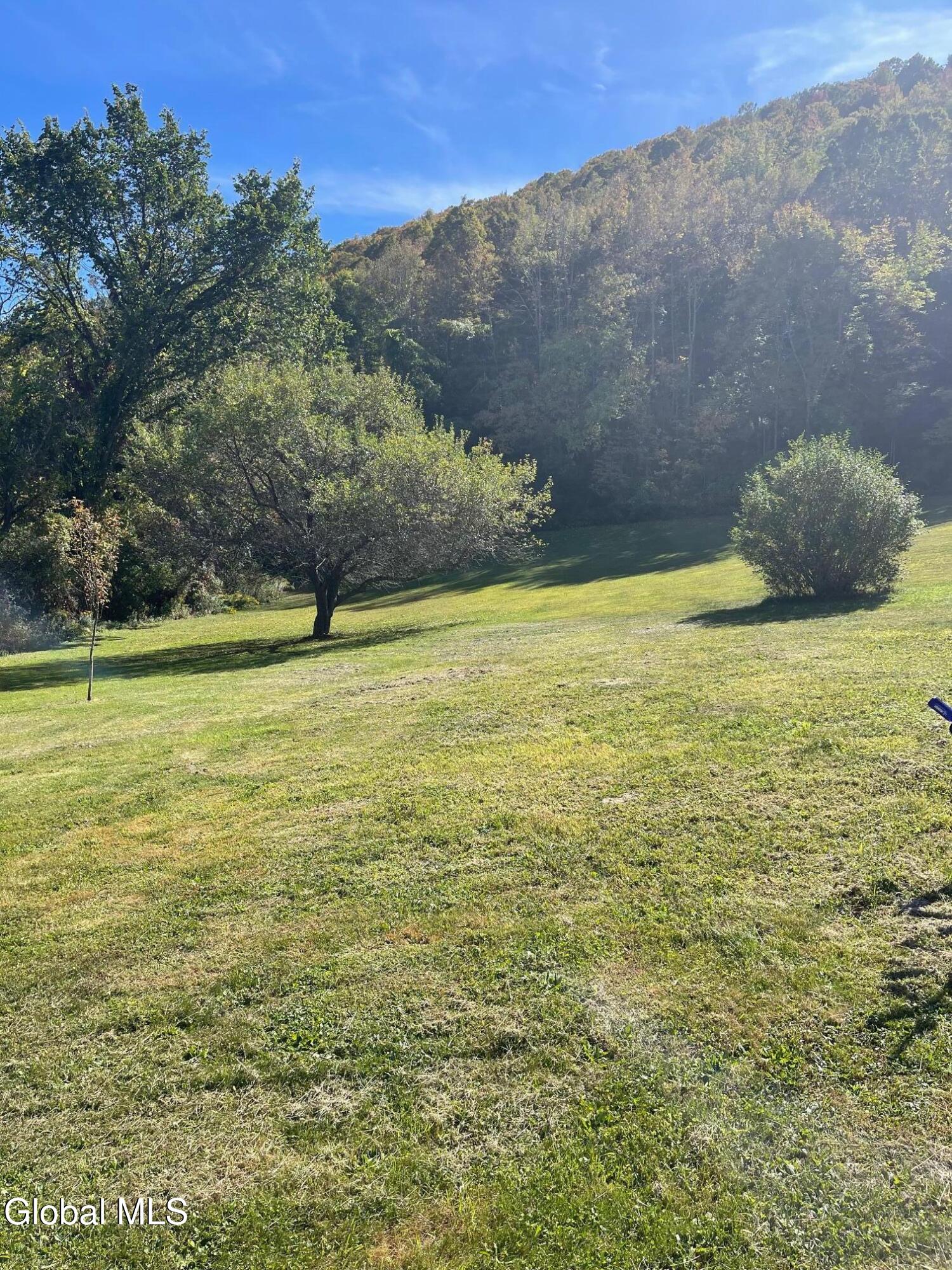 427 Patrick Road Seward, NY 12043 - Photo 28 of 34 IMG_4365