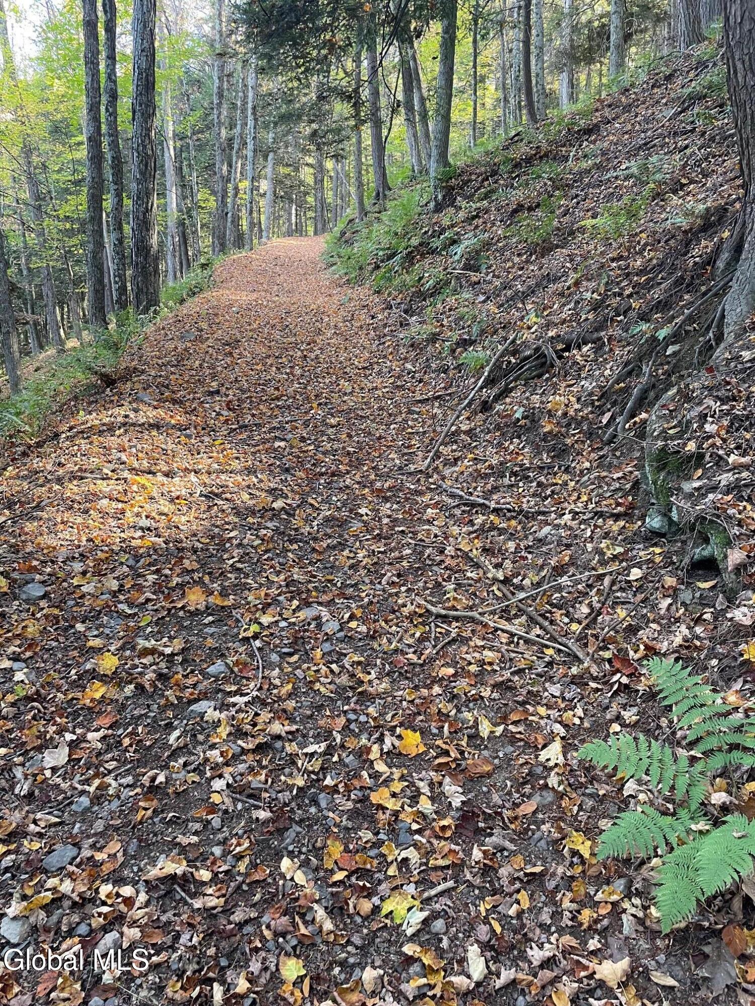 427 Patrick Road Seward, NY 12043 - Photo 31 of 34 IMG_3233