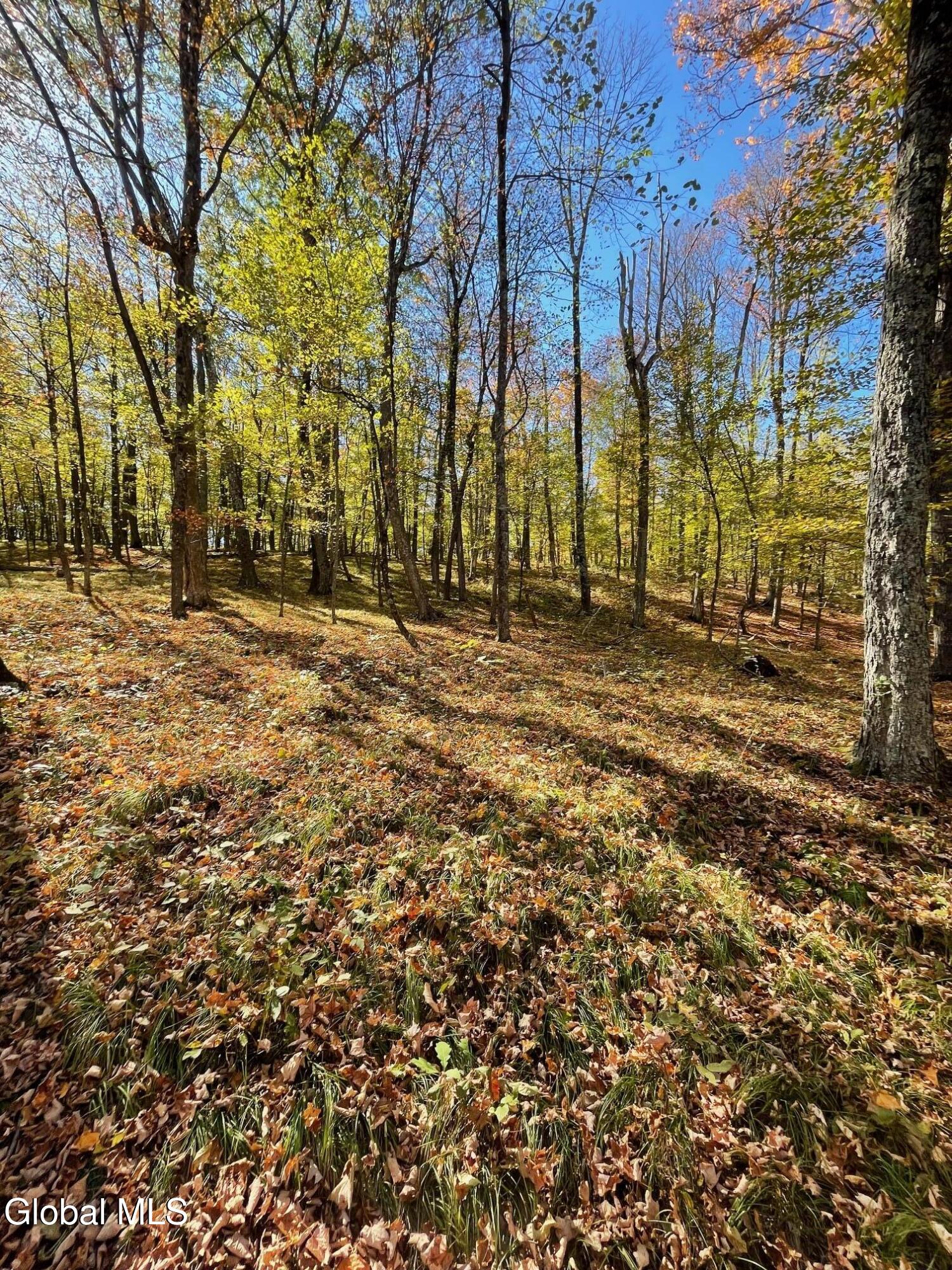 427 Patrick Road Seward, NY 12043 - Photo 32 of 34 IMG_3231