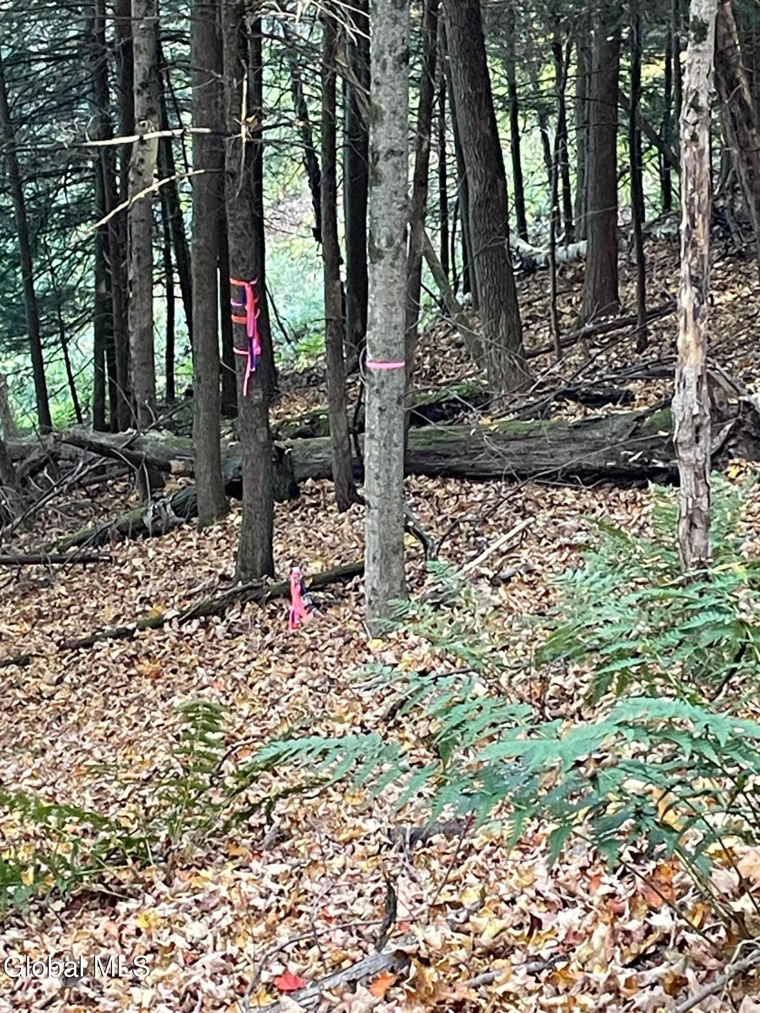 427 Patrick Road Seward, NY 12043 - Photo 33 of 34 IMG_3222