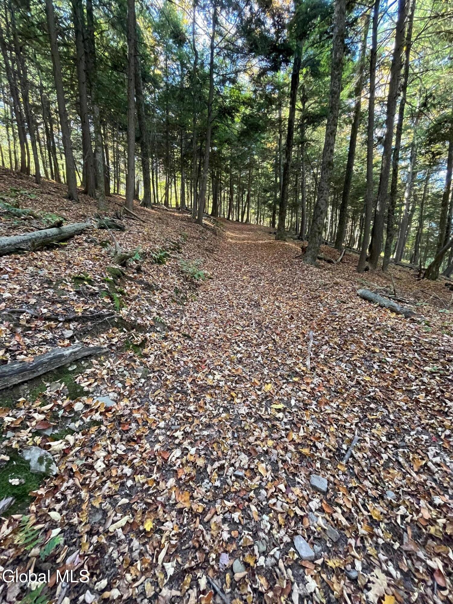 427 Patrick Road Seward, NY 12043 - Photo 34 of 34 IMG_3225