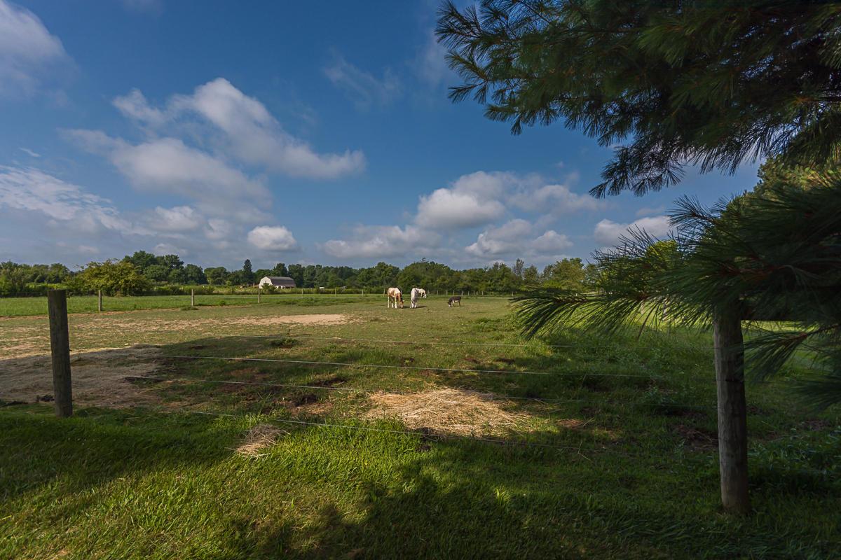 4020 Maynard Road Delaware, OH 43015 - Photo 43 of 45 Gallery Image 43