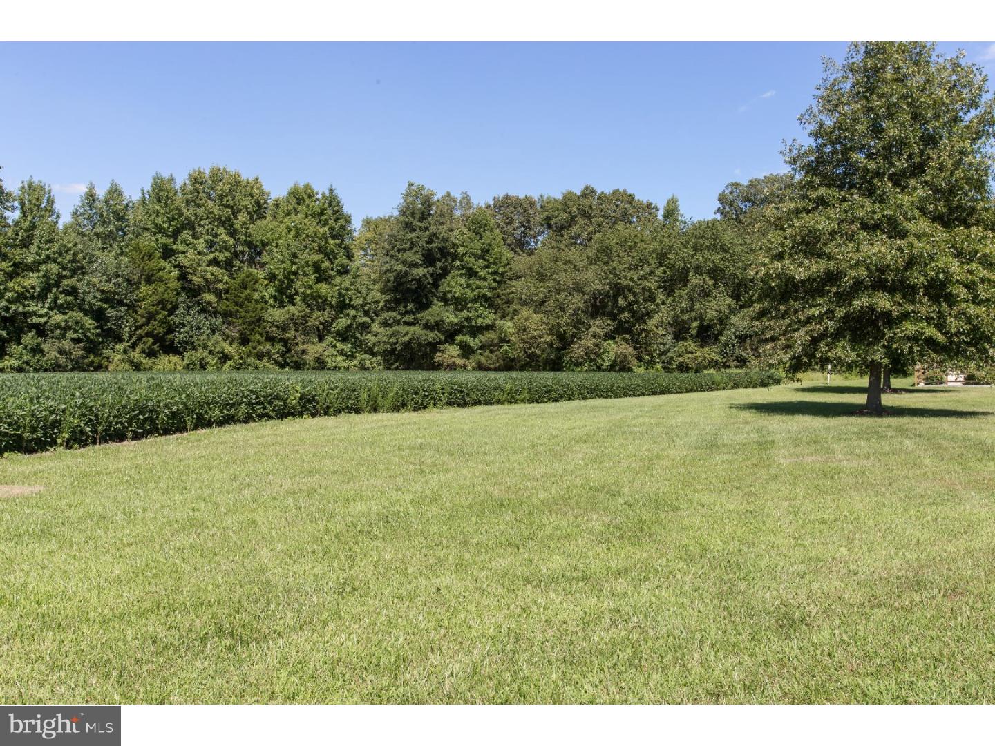 811 Dexter Corner Road Townsend, DE 19734 - Photo 2 of 25 Side Yard