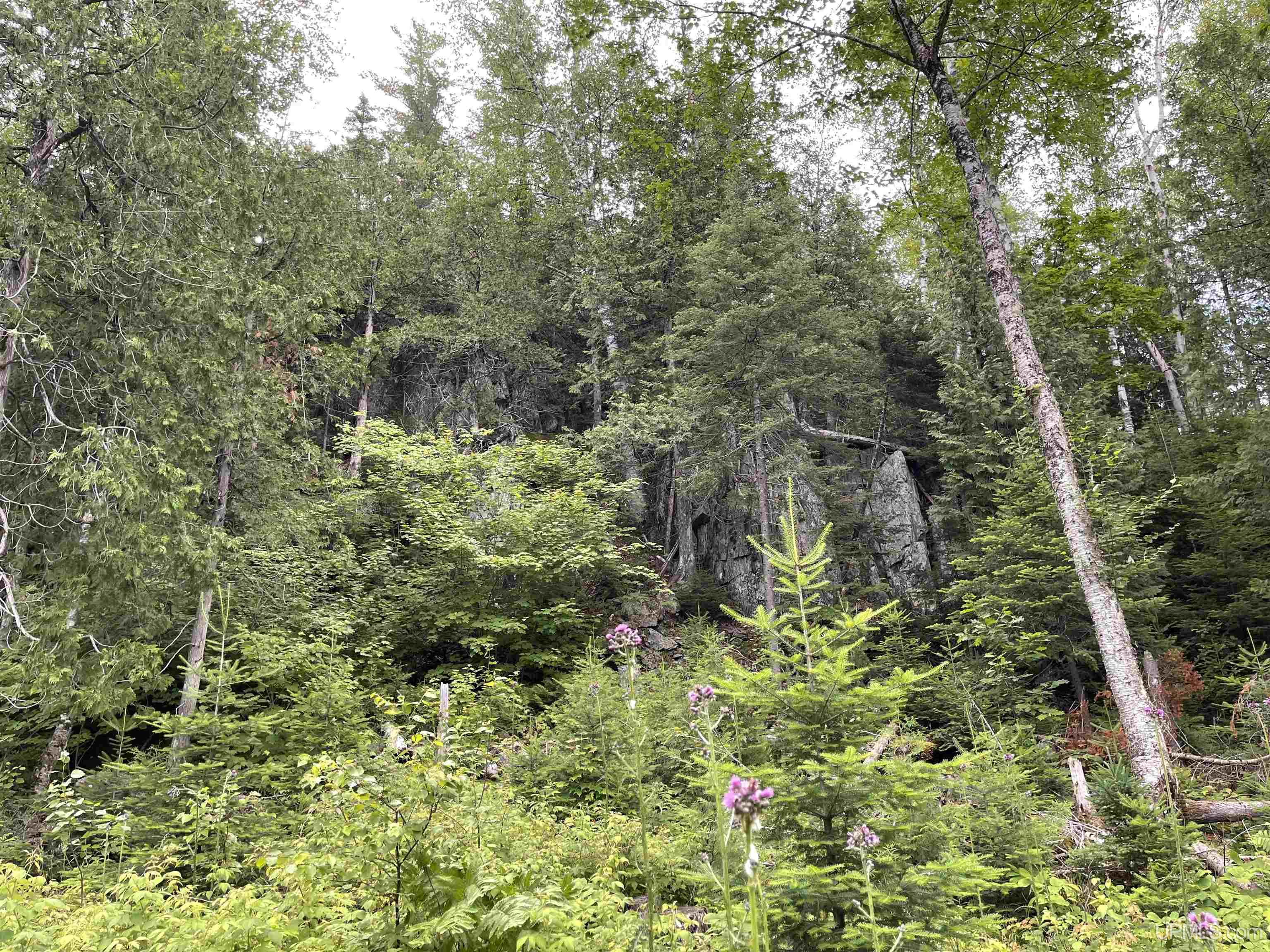 24-acres Cooper Lake Road Ishpeming, MI 49849 - Photo 13 of 13
