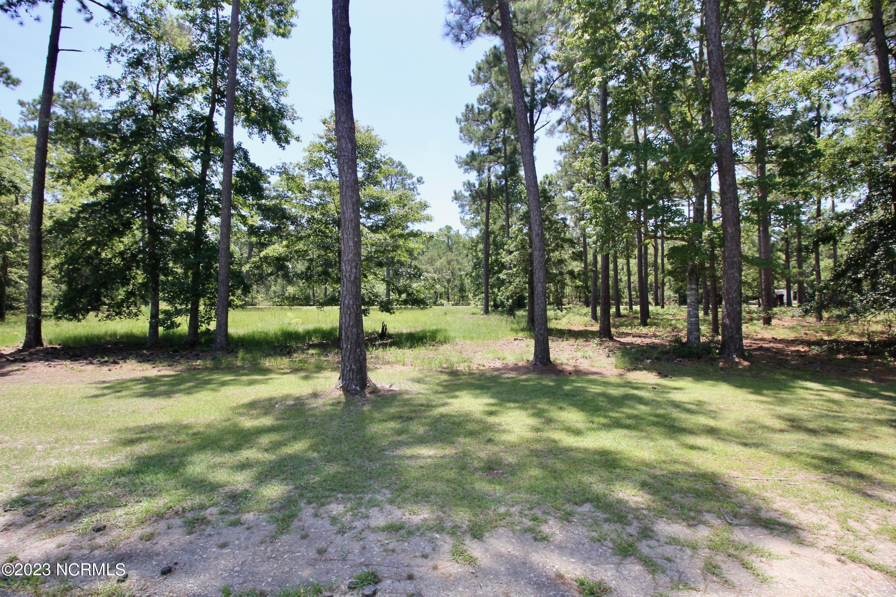 1017 Copas Road Southwest Shallotte, NC 28470 - Photo 11 of 16 Golf Side Lot