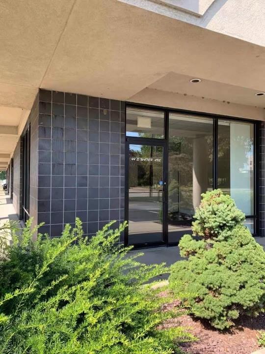 a view of a garden with pathway