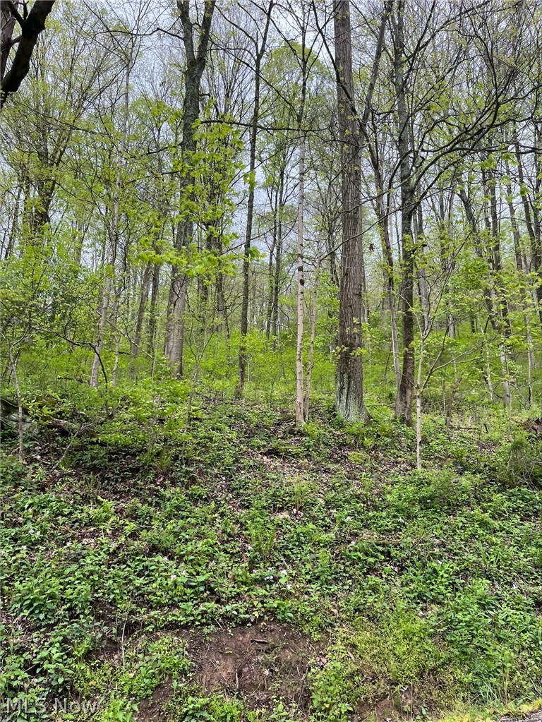 Sandy Ridge Road Tippecanoe, OH 44699 - Photo 16 of 21