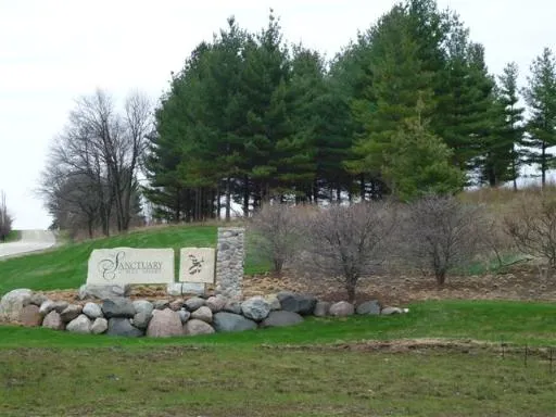 a garden view with plants and trees