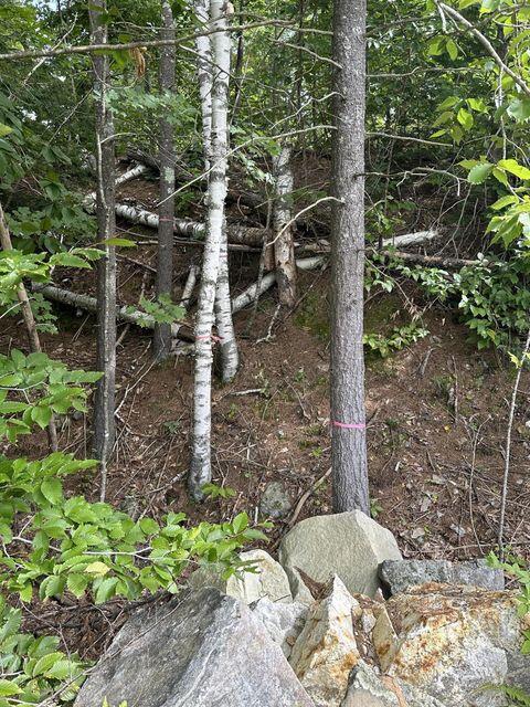 0 Libby Road, Unit LOT #9 West Newfield, ME 04095 - Photo 6 of 15 6