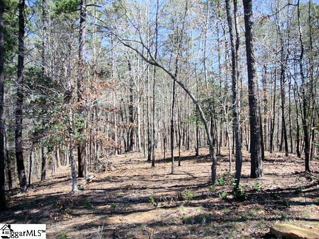 11 Talons Point Road, Unit LOT 11 THE TALONS Seneca, SC 29672 - Photo 3 of 36 Gallery Image 3