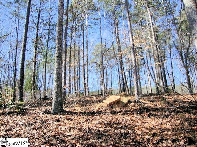 11 Talons Point Road, Unit LOT 11 THE TALONS Seneca, SC 29672 - Photo 8 of 36 Gallery Image 8