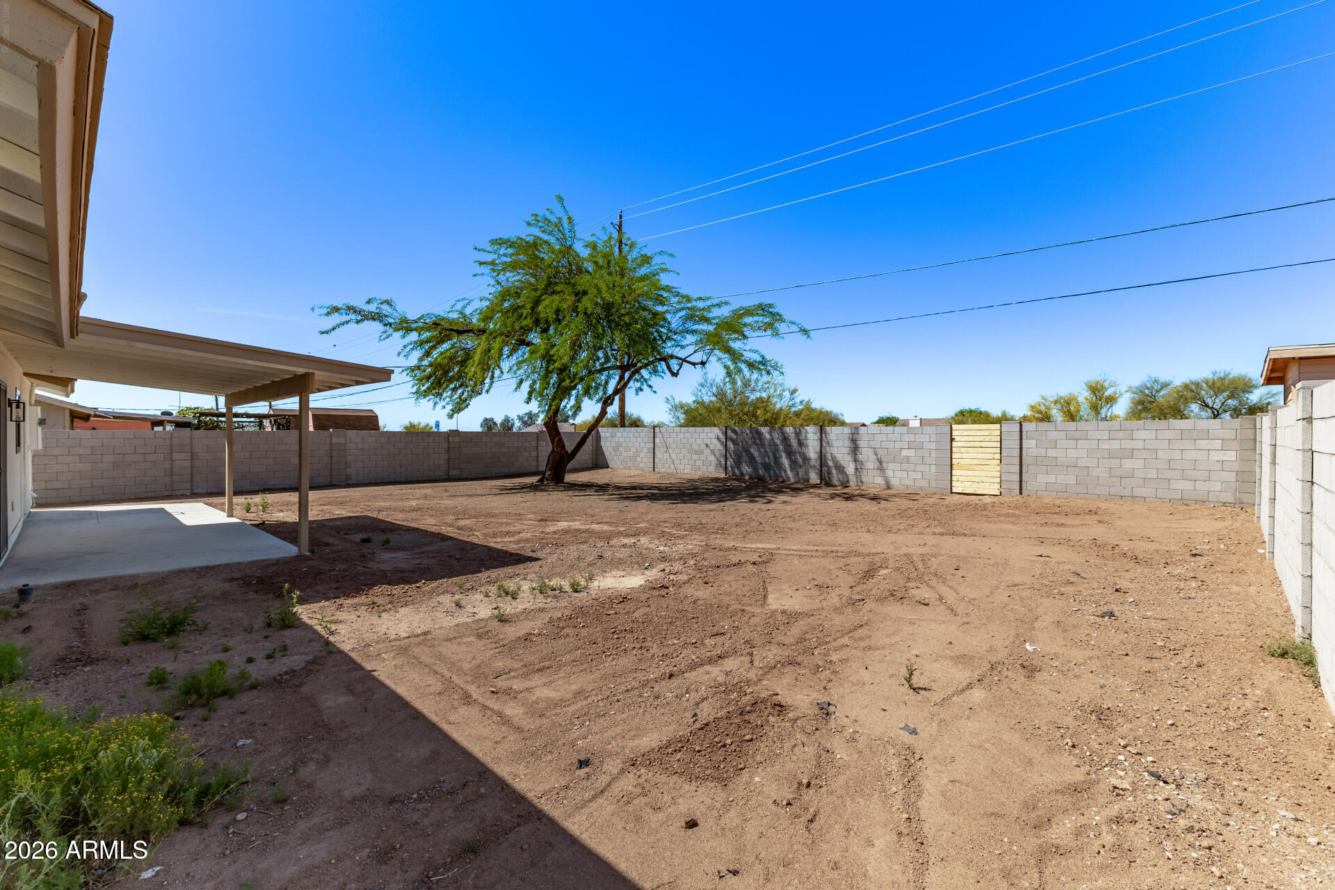 2890 South Mariposa Road Apache Junction, AZ 85119 - Photo 24 of 27 a view of a backyard
