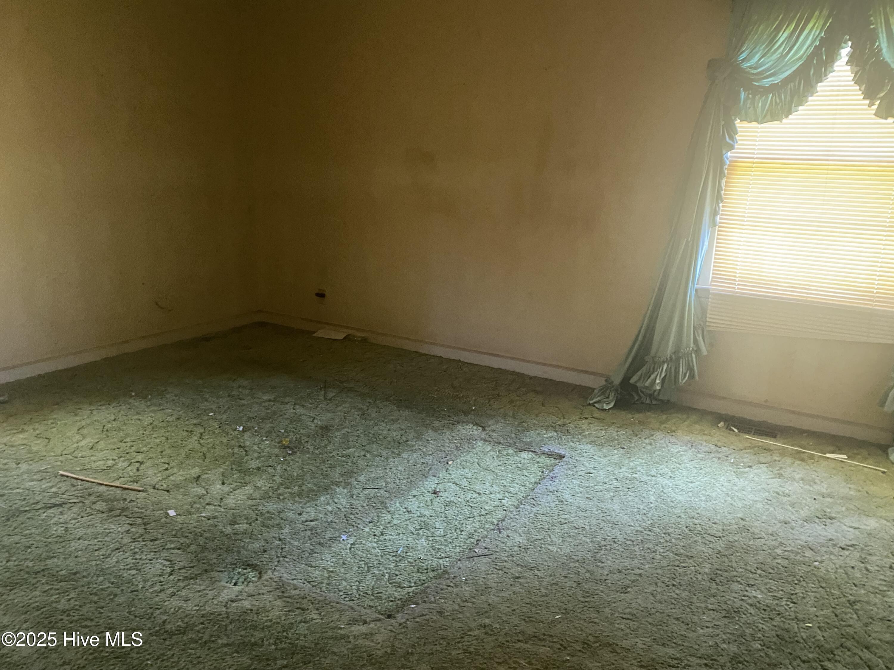 691 Wade Daughtery Road Faison, NC 28341 - Photo 7 of 10 IMG_9910