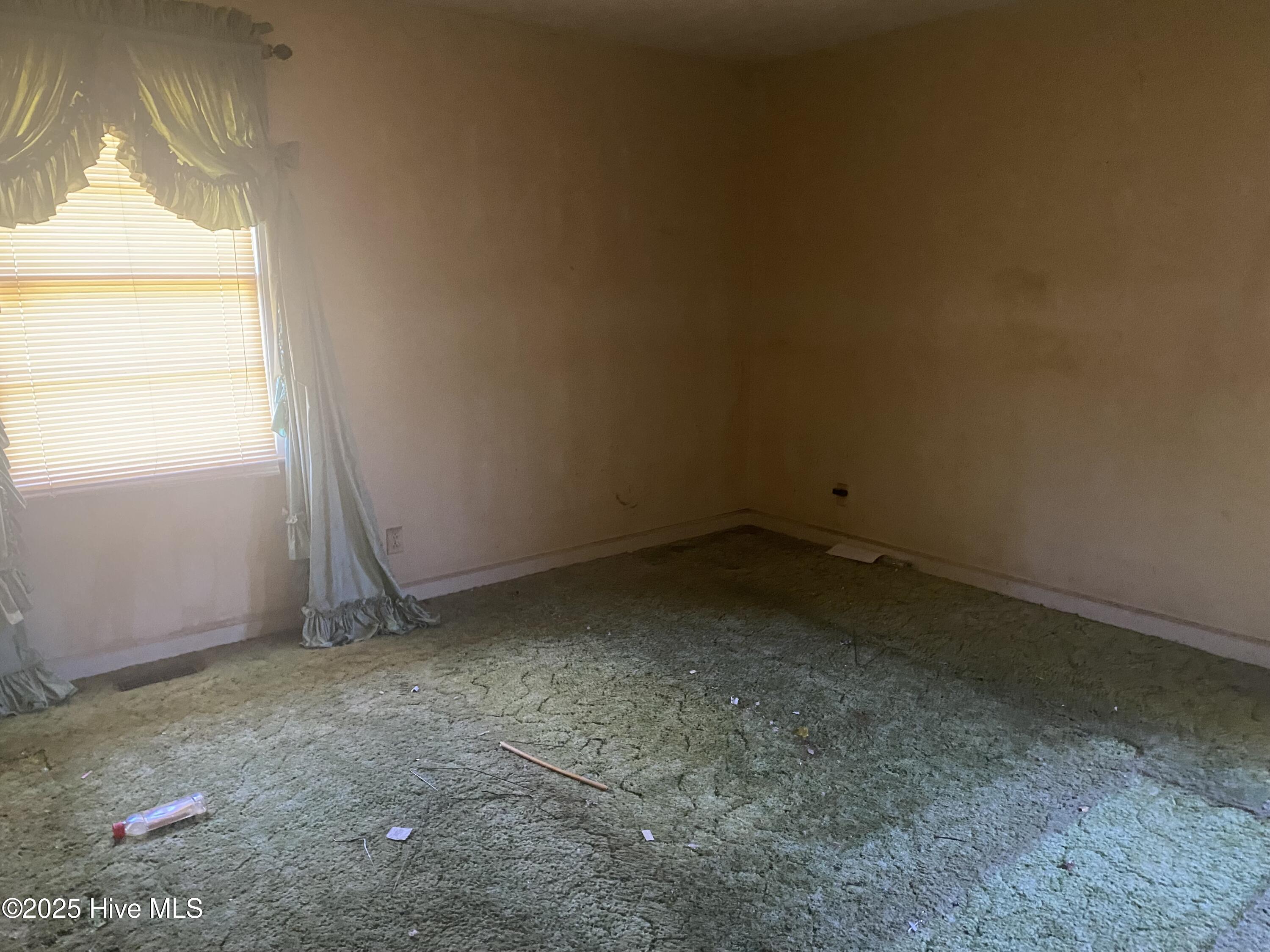 691 Wade Daughtery Road Faison, NC 28341 - Photo 9 of 10 IMG_9911