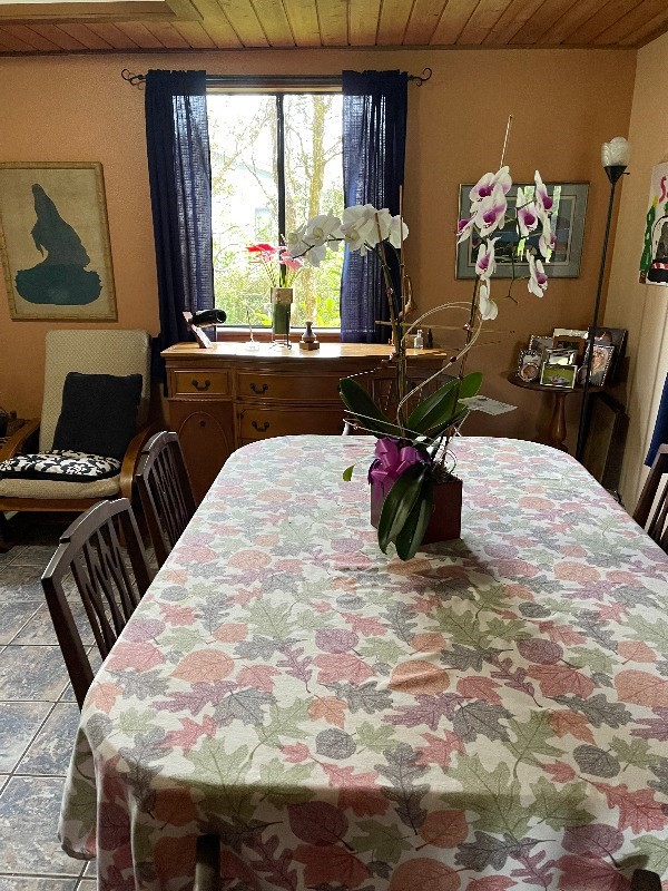 113091 A Volcano Road Volcano, HI 96771 - Photo 7 of 25 Gallery Image 7