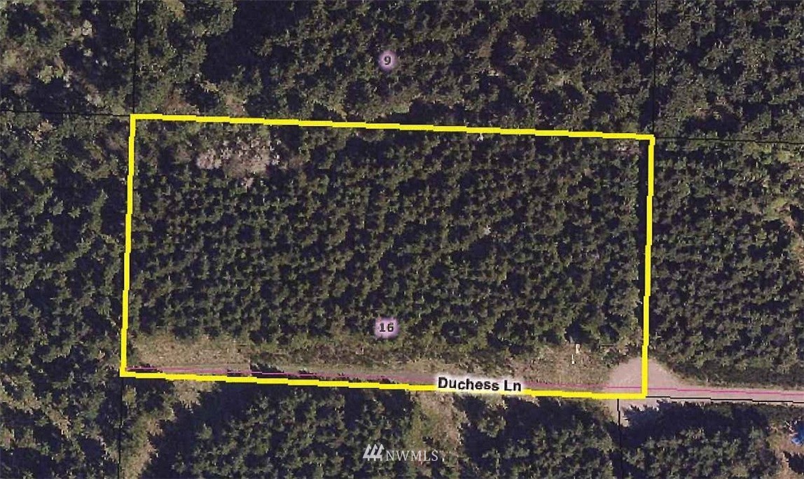 5 Duchess Road Winlock, WA 98596 - Photo 7 of 9