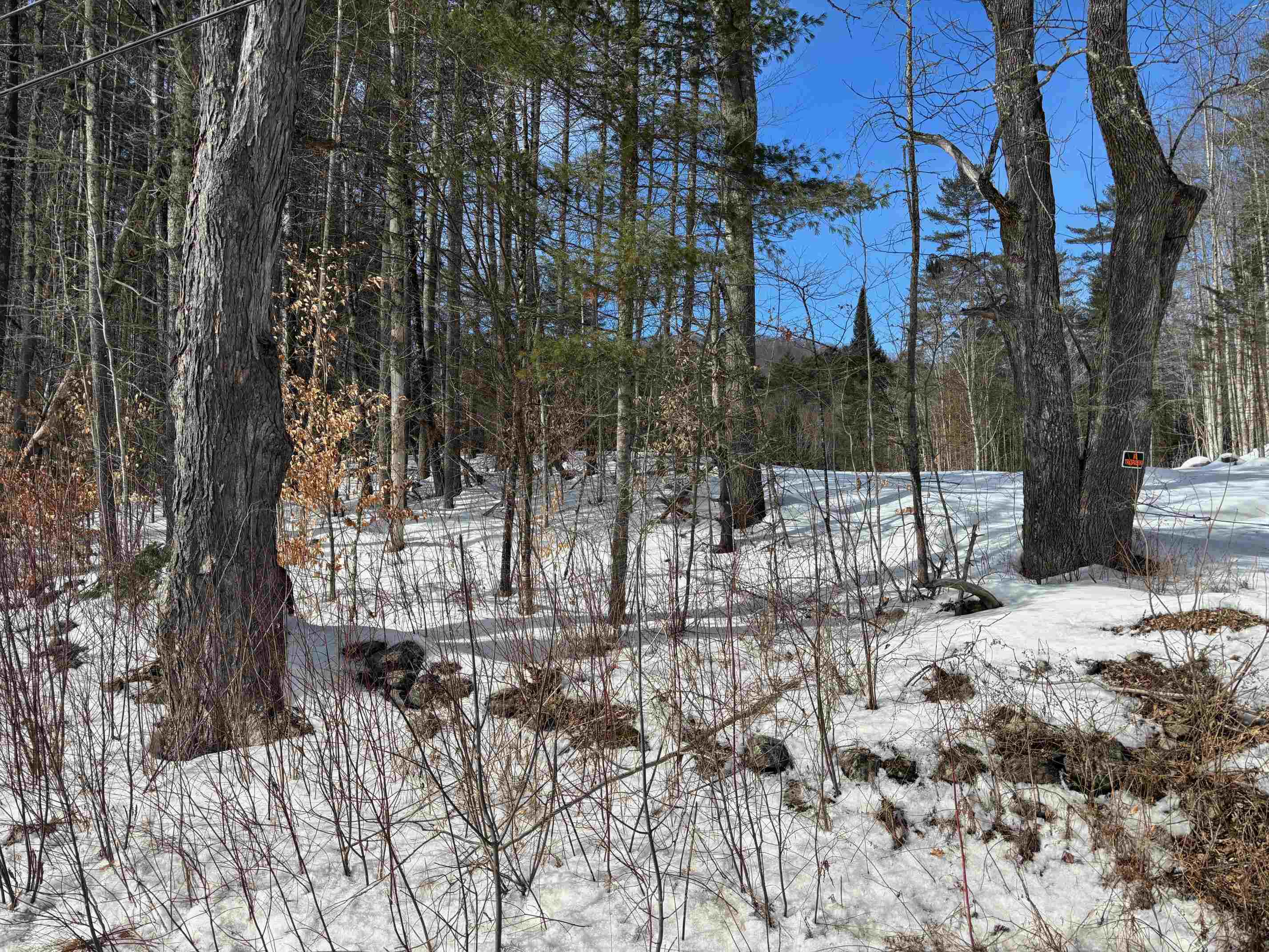 0 Lower Waterford Road Waterford, VT 05819 - Photo 19 of 21 Gallery Image 19