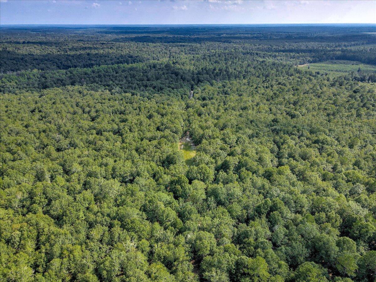 0 Millers Pond Road, Unit 4 Salley, SC 29137 - Photo 17 of 18