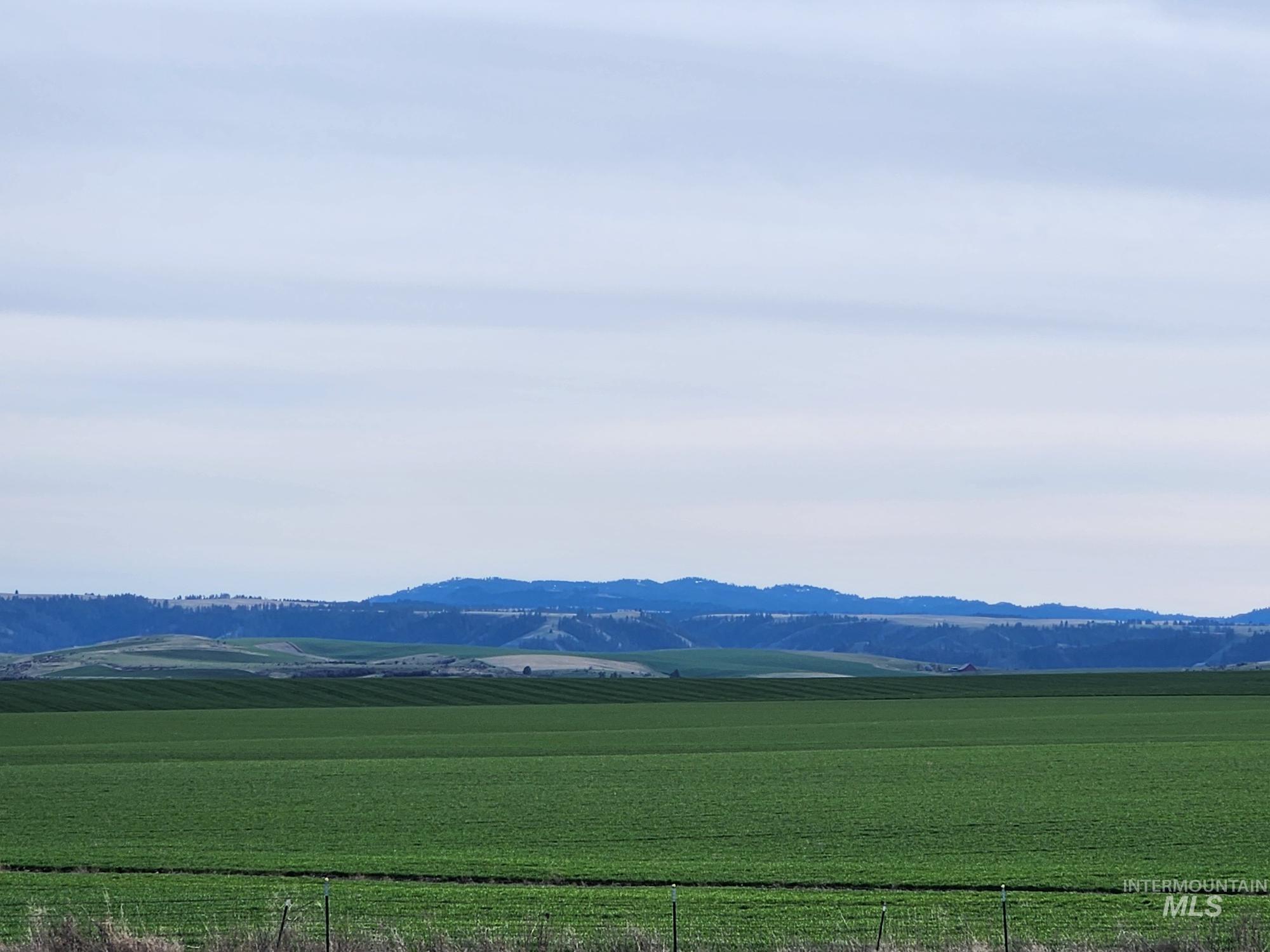 232 Camas Road Grangeville, ID 83530 - Photo 42 of 44