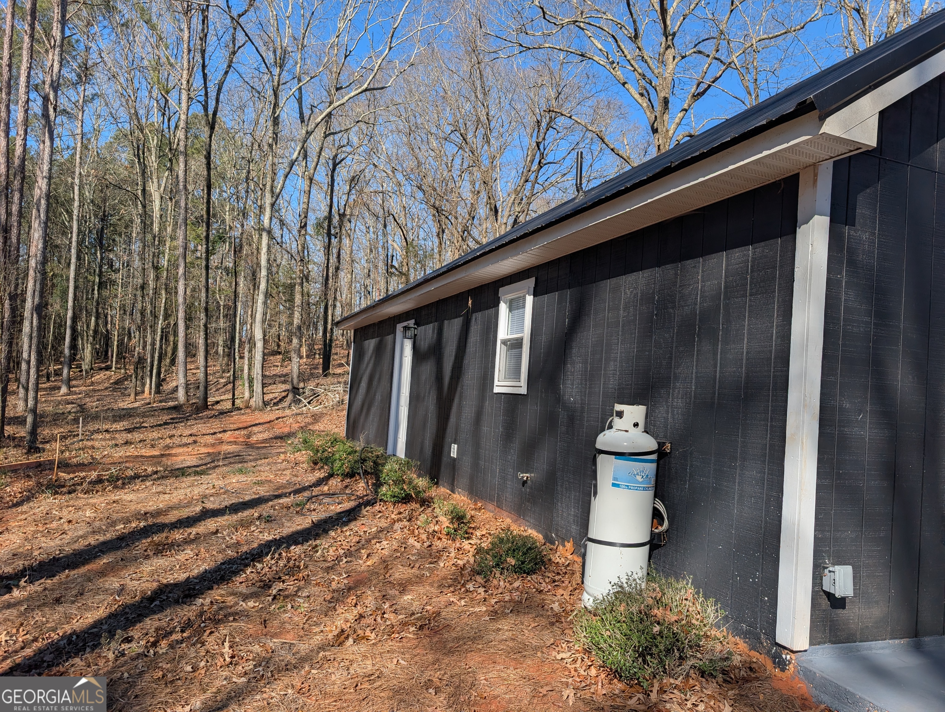 232 Chestnut Grove Road Shiloh, GA 31826 - Photo 7 of 22