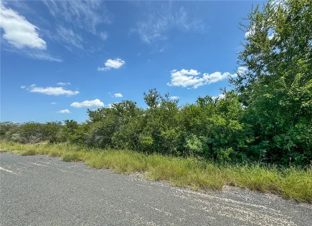 a view of a lake and a yard