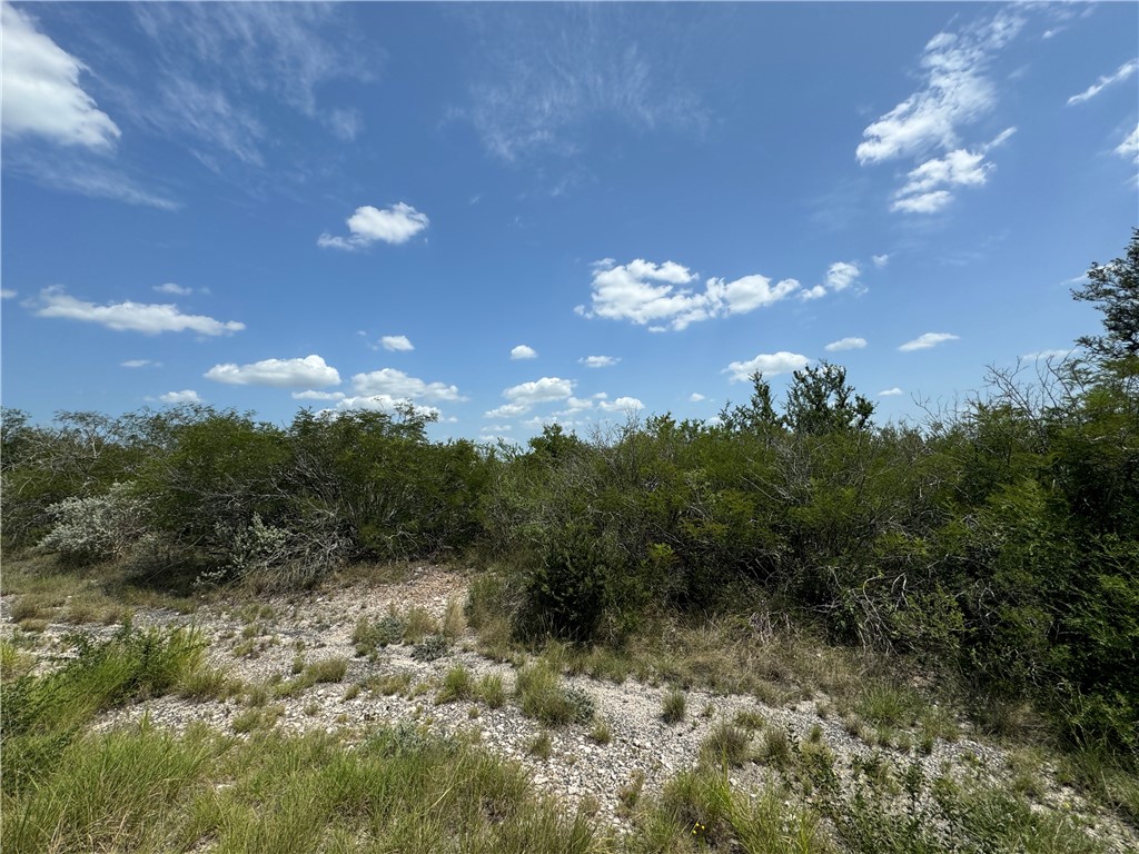 0 Deer Run Terrace Three Rivers, TX 78071 - Photo 3 of 9 a view of a big yard with lots of green space