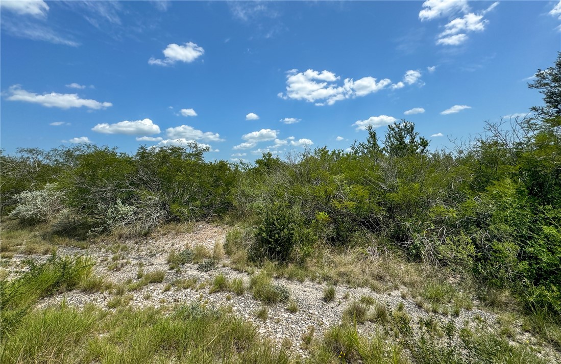0 Deer Run Terrace Three Rivers, TX 78071 - Photo 4 of 9 a view of a city