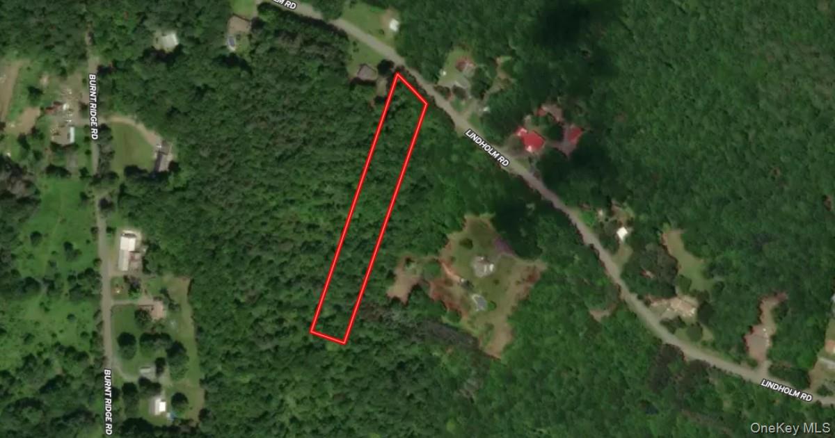 0 Lindholm Road Fallsburg, NY 12733 - Photo 2 of 2 a view of a backyard