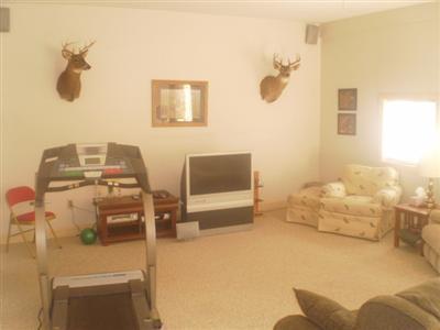 4475 Nickleplate Road Ionia, MI 48846 - Photo 3 of 14 Additional Photo