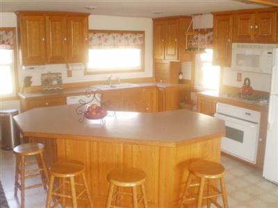 4475 Nickleplate Road Ionia, MI 48846 - Photo 5 of 14 Additional Photo