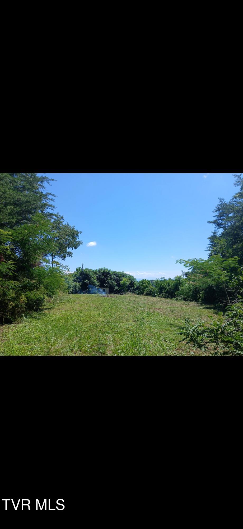 701 Old Witt Road, Unit 1 Morristown, TN 37813 - Photo 7 of 14 TL7