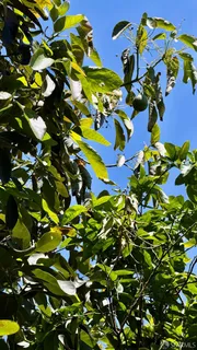 $1,025,000 | 1353 Minna, San Francisco, CA 94103