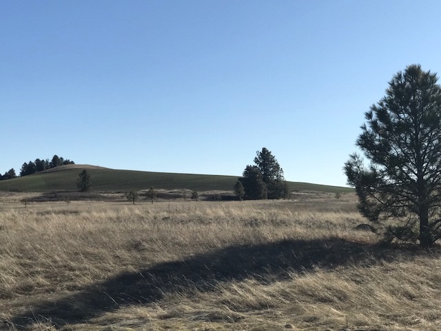 Xxx West Bobwhite Road Cheney, WA 99004 - Photo 1 of 18