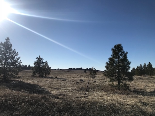 Xxx West Bobwhite Road Cheney, WA 99004 - Photo 12 of 18