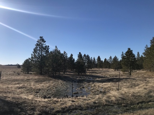 Xxx West Bobwhite Road Cheney, WA 99004 - Photo 13 of 18
