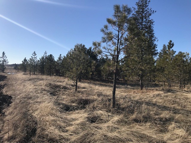 Xxx West Bobwhite Road Cheney, WA 99004 - Photo 14 of 18