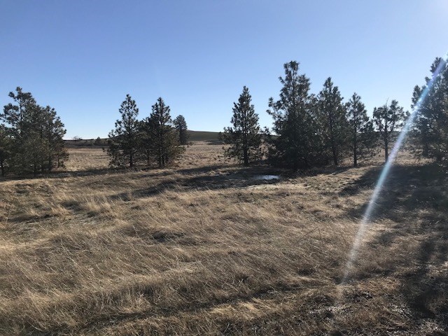 Xxx West Bobwhite Road Cheney, WA 99004 - Photo 15 of 18