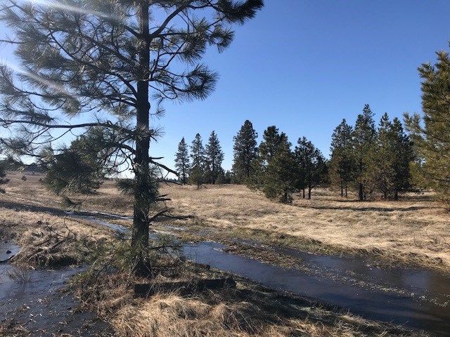 Xxx West Bobwhite Road Cheney, WA 99004 - Photo 16 of 18