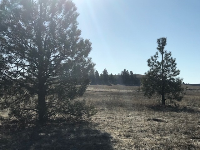 Xxx West Bobwhite Road Cheney, WA 99004 - Photo 17 of 18
