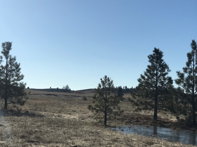 Xxx West Bobwhite Road Cheney, WA 99004 - Photo 18 of 18