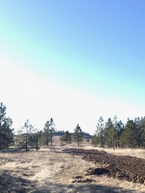 Xxx West Bobwhite Road Cheney, WA 99004 - Photo 3 of 18