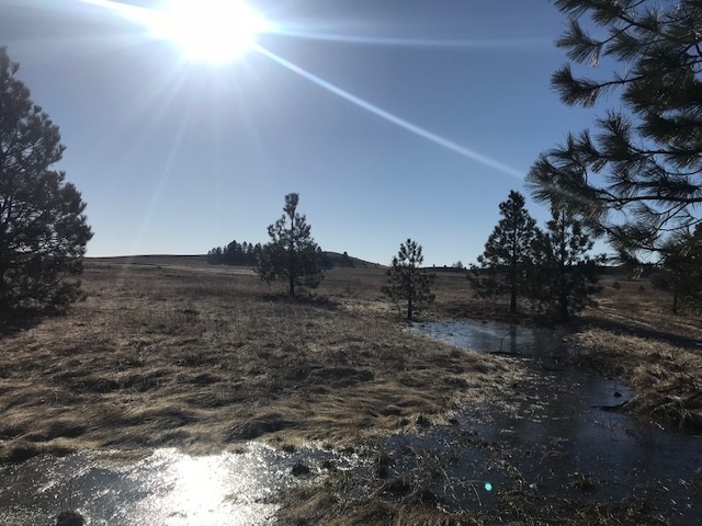Xxx West Bobwhite Road Cheney, WA 99004 - Photo 4 of 18